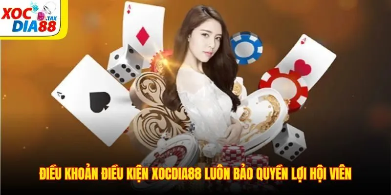 Điều Khoản Điều Kiện Xocdia88 1 Điều khoản điều kiện Xocdia88 luôn bảo quyền lợi hội viên