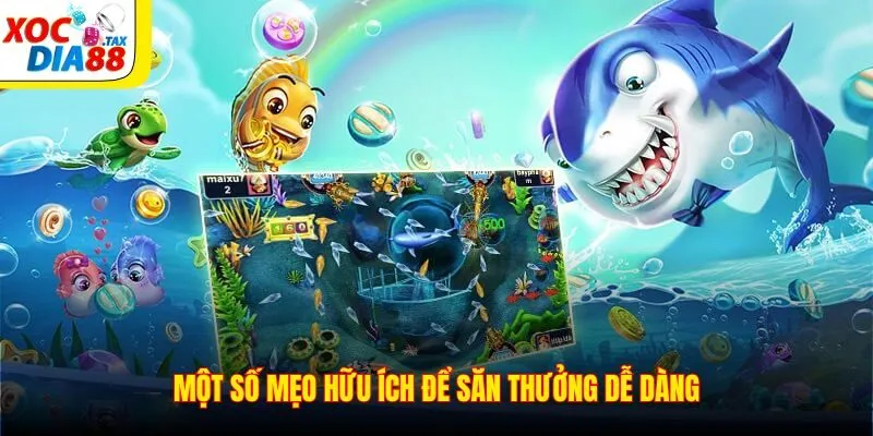Bắn Cá Xocdia88 5 Một số mẹo hữu ích để săn thưởng dễ dàng